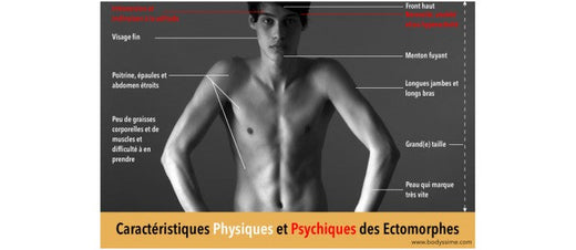 Ectomorphe : transformez votre physique